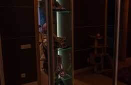 Apartament 3 camere, finisat lux, etaj intermediar, zona Dacia Service!