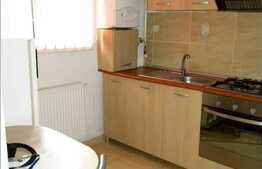 Apartament de vanzare cu 1 camera, 48 mp in imobil nou, cu loc de parcare