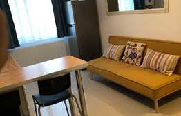 Apartament 2 camere, 33 mp, parcare, pet friendly, zona FSEGA