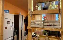 Oportunitate investitie! Casa in zona Ultracentrala!