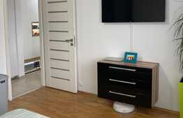 Apartament la cheie, lux, 2 camere, decomandat, panorama, Plopilor