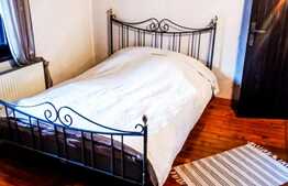 Chalet deosebit în orașul regal, Sinaia! 340 mp utili, 1380 mp teren