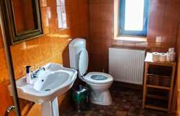 Chalet deosebit în orașul regal, Sinaia! 340 mp utili, 1380 mp teren