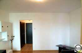 1 camera, 30 mp, zona strazii Constantin Brancusi