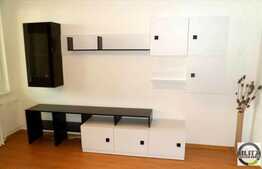 1 camera, 30 mp, zona strazii Constantin Brancusi