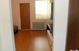 1 camera, 30 mp, zona strazii Constantin Brancusi