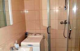 1 camera, 30 mp, zona strazii Constantin Brancusi