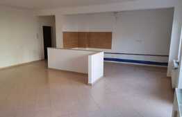 Apartament 75 mp, terasa 55 mp, zona Parcul Colina