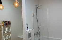 Apartament de 2 camere, A.C, 52 mp, parcare subterana, masina de spalat vase, Park Lake Residence