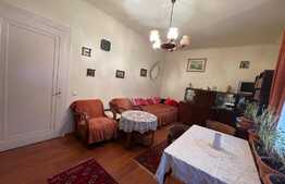 Apartament de 2 camere, decomandat, 50 mp, curte privata, zona Lukoil