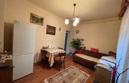 Apartament de 2 camere, decomandat, 50 mp, curte privata, zona Lukoil