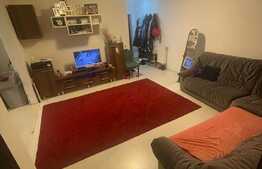 Apartament de 3 camere, 64mp, gradina 49 mp, 2 parcari, zona Sesul de Sus