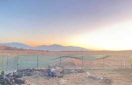 Casa in Bod de 120 mp si teren de 800 mp 