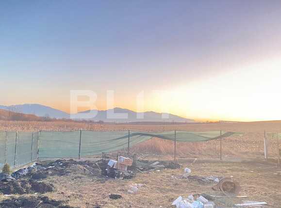 Casa de vânzare 4 camere Bod - 80148CV | BLITZ Brașov | Poza16