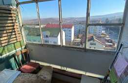 Garsoniera de inchiriat, 28 mp, decomandata, zona Brancusi