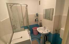 Garsoniera de inchiriat, 28 mp, decomandata, zona Brancusi