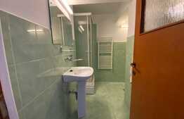 Apartament 3 camere, 65 mp, pet friendly, zona Bucium