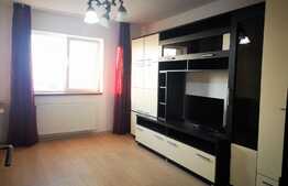 Apartament de 2 camere, mobilat și utilat, Bartolomeu