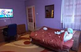 Apartament in vila, 100 mp, posibilitate mansardare, 200 mp curte, Dambul Rotund