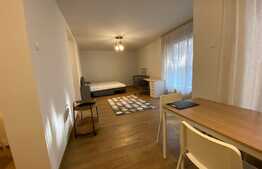 Garsoniera de 42 mp, pet friendly, zona Golden Tulip