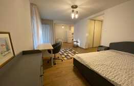 Garsoniera de 42 mp, pet friendly, zona Golden Tulip