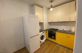 Garsoniera de 42 mp, pet friendly, zona Golden Tulip