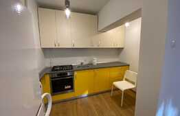 Garsoniera de 42 mp, pet friendly, zona Golden Tulip