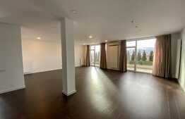 Penthouse DE LUX, 177 mp utili, 107 mp terasă, view, zona Calea Turzii