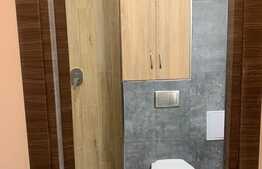 Garsonieră de 21 mp, renovată și mobilată modern, zona Expo Transilvania