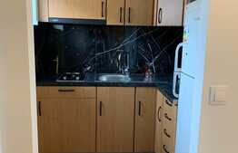 Garsonieră de 21 mp, renovată și mobilată modern, zona Expo Transilvania