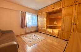 Garsoniera spatioasa, 30 mp, pet friendly, zona Piata Cipariu