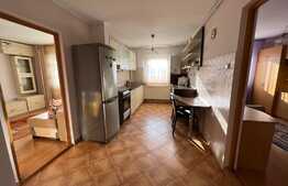 Apartament 3 camere, 65 mp, A.C., balcon, pet friendly, zona strazii Grigore Alexandrescu