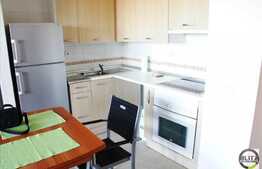 Inchiriere 2 camere in Viva City, 45 mp utili, zona Iulius Mall, gradina 90 mp