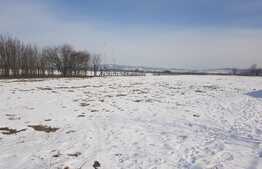 Oportunitate investitie! Teren intravilan, 3713 mp, 105 ml front, zona de case, Jucu de Sus  