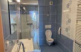 Penthouse 3 camere, 103 mp, terasa, Avantgarden-Bartolomeu-Nord, modern