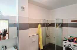 Apartament de 58 mp utili, garaj, parcare, orientare sudica, zona Teilor