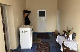 Casa locuibila cu teren generos 2100 mp, front 37,5 ml in Salicea!