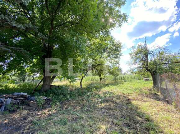 Casa de vânzare 3 camere Salicea - 80446CV | BLITZ Cluj-Napoca | Poza4