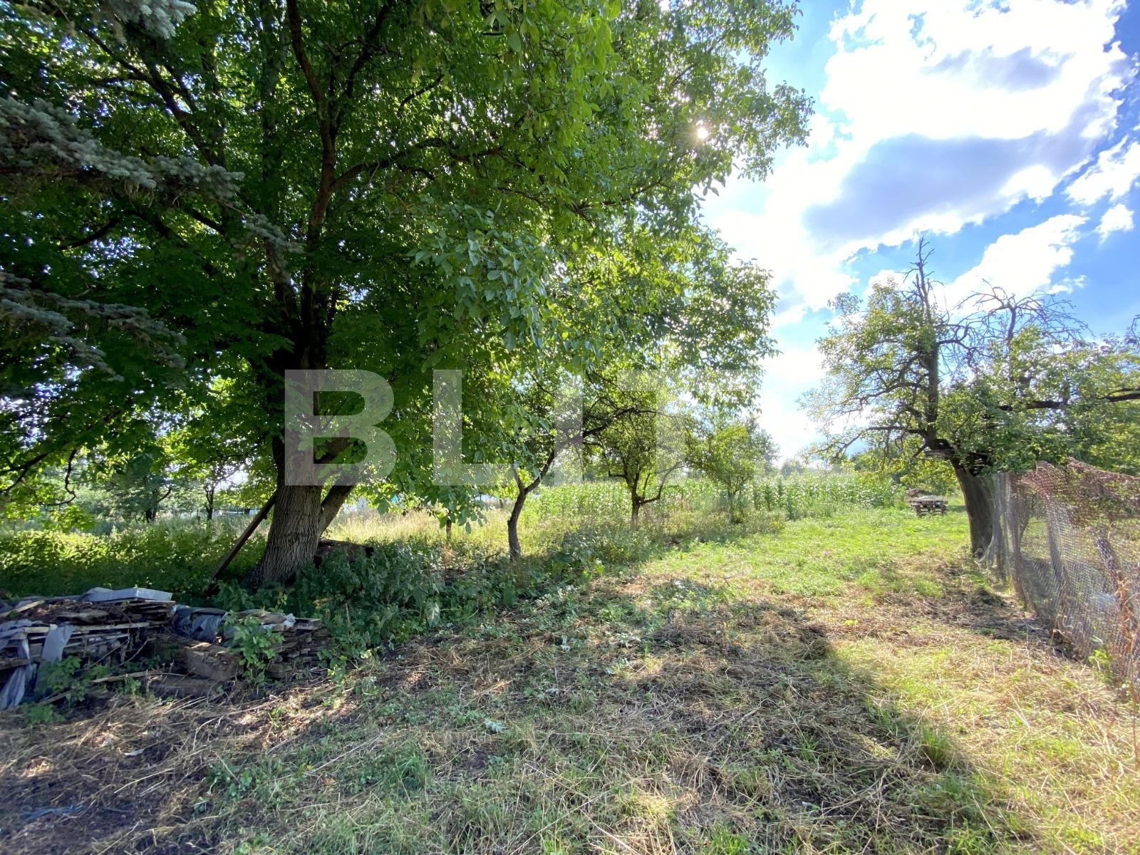 Casa de vânzare 3 camere Salicea - 80446CV | BLITZ Cluj-Napoca | Poza4