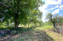 Oportunitate! Teren generos cu casa locuibila, 2100 mp, front 37,5 ml in Salicea