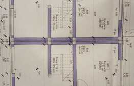 Duplex 117 mp, teren 250 mp, CF, zona de case in Dezmir!