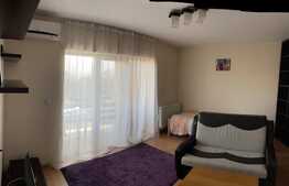 Garsoniera de 33 mp, parcare, aer conditionat, zona Lidl