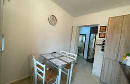Apartament de 2 camere, decomandat, 54 mp, gradina,  zona Central