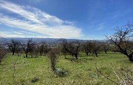 Oportunitate! Teren intravilan - ULiu, 2200 mp, zona strazii Colonia Breaza