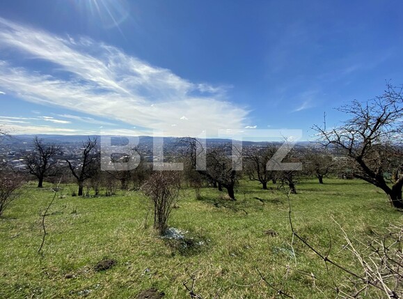 Teren de vânzare Dambul Rotund - 80492TV | BLITZ Cluj-Napoca | Poza1