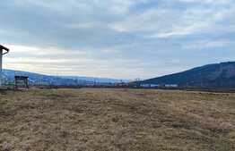 Oportunitate! Teren intravilan in Jucu de Mijloc, 2900 mp!