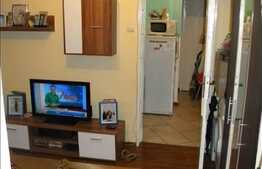 De vanzare apartament cu 3 camere, zona Complexului Big, 44 mp utli