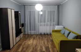 Apartament 2 camere, 50 mp, terasa 30 mp, zona strazii Maramuresului