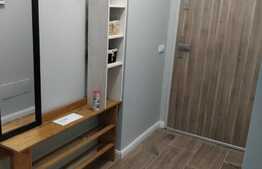 Apartament 2 camere, 50 mp, terasa 30 mp, zona strazii Maramuresului