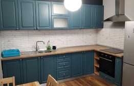 Apartament 2 camere, 50 mp, terasa 30 mp, zona strazii Maramuresului